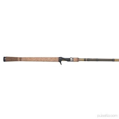 Fenwick Eagle Salmon/Steelhead Casting Fishing Rod 554983319